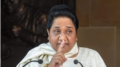 यूपी विधानसभा चुनाव को लेकर मायावती का दावा, कहा- पहले से अधिक मजबूत सरकार बनाएंगे