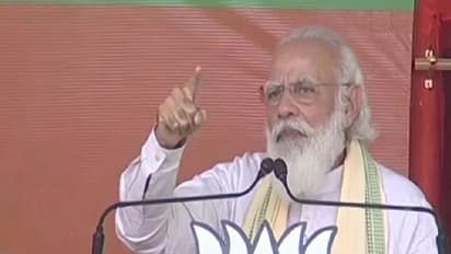 भागलपुर में PM मोदी के सवाल- बिहार का विकास कौन करेगा, वो जिन्होंने गुंडे पाले या जिसने गुंडों पर चलाया डंडा