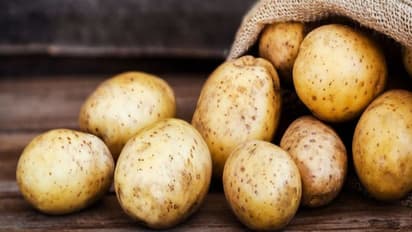 ಆಲೂಗಡ್ಡೆಗಳನ್ನು ಸುದೀರ್ಘ ಕಾಲ ಹಾಳಾಗದಂತೆ ಕಾಪಾಡುವುದು ಹೇಗೆ?