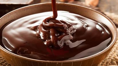 ಪುತ್ತೂರಿನಲ್ಲಿ ರಾಜ್ಯದ ಮೊದಲ ಚಾಕೊಲೇಟ್ ಪಾರ್ಕ್, ಮನರಂಜನೆಗೂ ಸಿಗಲಿದೆ ಅವಕಾಶ