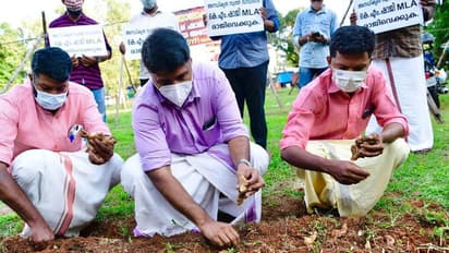 കെഎം ഷാജിക്കെതിരെ ഇഞ്ചിനടൽ സമരവുമായി ഡിവൈഎഫ്ഐ