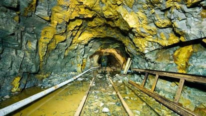 ഉപേക്ഷിച്ച ഖനികളിൽ പൊൻ തരികൾ തേടി മുൻ തൊഴിലാളികൾ, കവാടത്തിൽ നിലയുറപ്പിച്ച് പൊലീസ്, ഒടുവിൽ ഇടപെട്ട് കോടതി