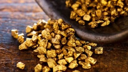 பிஹாரில் பூமிக்கு கீழ் 22 கோடி டன் தங்கம்: தோண்டி வெளியே எடுக்க நிதிஷ் அரசு முடிவு