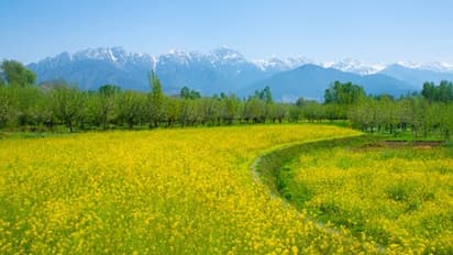 തടസങ്ങൾ നീക്കി കേന്ദ്രസർക്കാർ; ഇനി ജമ്മു കശ്മീരിൽ ആർക്കും ഭൂമി വാങ്ങാം