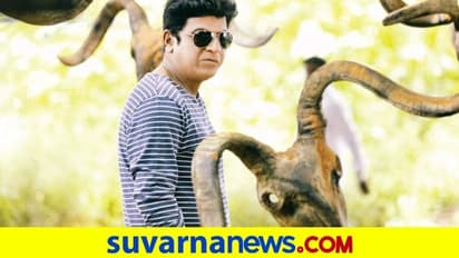 ಹ್ಯಾಟ್ರಿಕ್‌ ಹೀರೋ ಕೈಯಲ್ಲಿ ಹೊಸ 7 ಸಿನಿಮಾಗಳು; ಆದರೆ ಎರಡು ಸಿನಿಮಾಗಳು ಡ್ರಾಪ್‌!