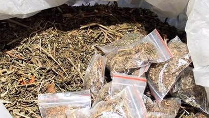 തിരുവനന്തപുരത്ത് കഞ്ചാവ് വില്‍പന നടത്തിയ ക്ഷേത്ര പൂജാരി അറസ്റ്റില്‍