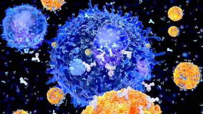 Coronavirus cases on the rise after three weeks; India reports 45,903 fresh cases