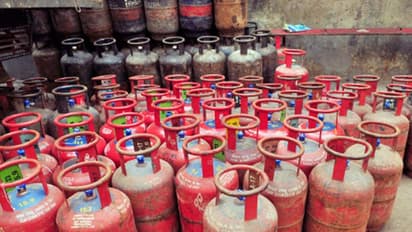 ಹೊಸ ವರ್ಷದಿಂದ LPG ಬೆಲೆ ಪ್ರತಿ ವಾರ ಪರಿಷ್ಕರಣೆ?