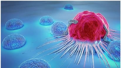 ക്യാന്സര് തടയാന് ഭക്ഷണത്തില് ശ്രദ്ധിക്കേണ്ട കാര്യങ്ങള്...