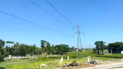 বিশ্ব নবি দিবসের মিছিলে ভয়াবহ দুর্ঘটনা, বিদ্যুৎপৃষ্ঠ হয়ে প্রাণ হারালেন দু'জন