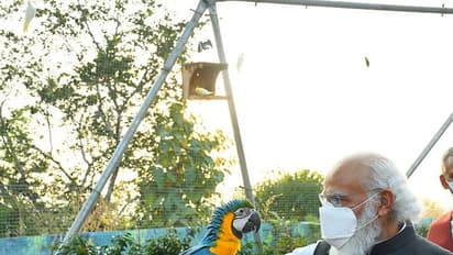 ২ দিনের গুজরাত সফরে মোদি, শনিবার দিনভর একাধিক প্রকল্পের উদ্বোধন, হবেন একতা প্যারডে সামিল