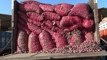 जल्द ही होगा सस्ता प्याज, विदेशी नहीं घरेलू आवक से सस्ता होगा प्याज