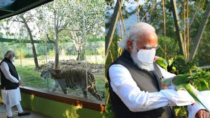 ಗುಜರಾತಿನಲ್ಲಿ ಪ್ರಧಾನಿ ಮೋದಿ ಉದ್ಘಾಟನಾ ಪರ್ವ