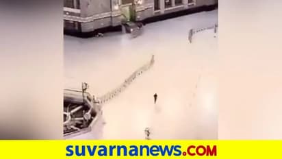 ಮಕ್ಕಾ ಮಸೀದಿ ಗೇಟ್ಗೆ ಕಾರಿಂದ ಗುದ್ದಿದ ಅರಬ್ ವ್ಯಕ್ತಿ!