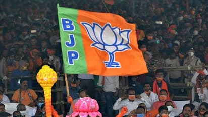 'Tukde Tukde gang' to 'Yuvraj of jungle raj': PM tears into Oppn in Bihar