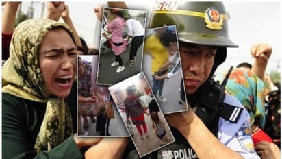 'നിങ്ങളും താലിബാനും ഒരുപോലെ' എന്ന് ചൈനയോട് പ്രസിദ്ധ ചരിത്രകാരൻ ഓൾസി യെസാഹി