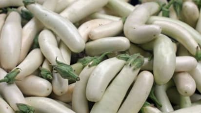 ഇനം നോക്കി വളര്ത്തി വിളവെടുക്കാം, വെളുത്ത വഴുതനയിലെ ഇനങ്ങള് ഇതൊക്കെയാണ്