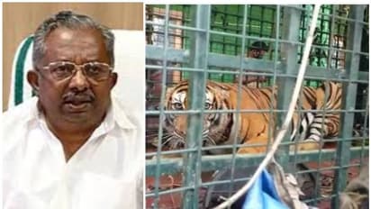 നെയ്യാർ സഫാരി പാർക്കിൽ കടുവ ചാടിപ്പോയ സംഭവം; കൂട് പഴക്കമുള്ളതാണെന്ന് വനം മന്ത്രി