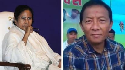 Can Mamata Banerjee settle dispute between Binay Tamang and Bimal Gurung? Crucial meeting today