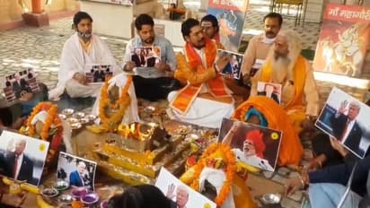 মার্কিন রাষ্ট্রপতি নির্বাচনের রেশ ভারতে, ট্রাম্প ও হ্যারিসের পক্ষ নিয়ে দুই ভাগে বিভক্ত দেশের মানুষ