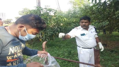 প্রবল বিস্ফোরণে ছিন্ন ভিন্ন হয়ে গেল ঠিককর্মীর দেহ, ডিপিএলের কাজে আশঙ্কাজনক আরও ১