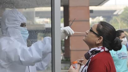 Coronavirus caseload breaches 85-lakh mark; recovery rate pushed to over 92%