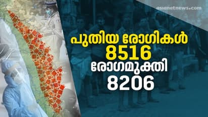 സംസ്ഥാനത്ത് ഇന്ന് 8516 പേര്‍ക്ക് കൊവിഡ്; 8206 പേര്‍ക്ക് രോഗമുക്തി