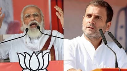 'കള്ളന്റെ താടി'; റഫാല് കരാറില് മോദിയെ വിമര്ശിച്ച് രാഹുല് ഗാന്ധി