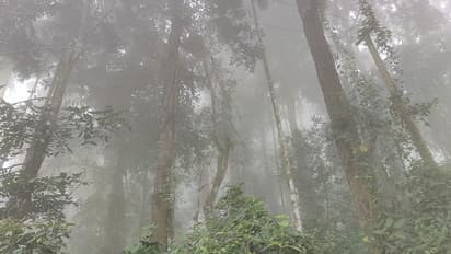 ট্রেকিং-এর স্বাদ পেতে এবার মেঘের দেশ, ভোর রাতের অন্ধকারে ফালুট মানেই স্বর্গ দর্শণ