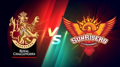 প্লে অফে বিরাট বনাম ওয়ার্নার দ্বৈরথ, ম্যাচের আগে জানুন দুই দলের সম্ভাব্য একাদশ ও পরিসংখ্যান