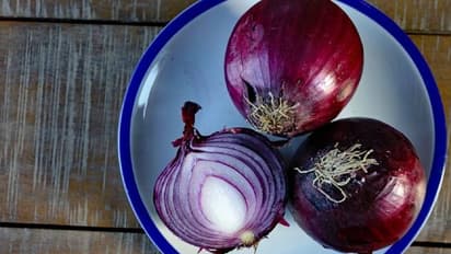 ചുവന്ന തൊലിയുള്ള സവാളയും കൃഷി ചെയ്യാം; വിളവെടുത്താല് കൂടുതല് കാലം സൂക്ഷിച്ചു വെക്കാം