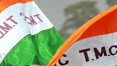 'আর বসে থাকলে চলবে না', কালীপুজো মিটলেই ভোট প্রচারে নামতে চলেছে তৃণমূল