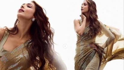 സാരിയില് മനോഹരിയായി മലൈക; വില 1.35 ലക്ഷം!