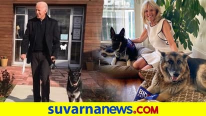 ಶ್ವೇತ ಭವನಕ್ಕೆ ಬೈಡನ್ ಜೊತೆ ಬಂತು ಜರ್ಮನ್ ಶೆಫರ್ಡ್ ನಾಯಿ..!