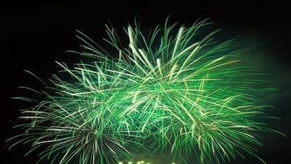 ಕರ್ನಾಟಕದಲ್ಲಿ ಈ ಬಾರಿ ದೀಪಾವಳಿಗೆ ಹಸಿರು ಪಟಾಕಿ ಮಾತ್ರ ಮಾರಾಟಕ್ಕೆ ಅವಕಾಶ