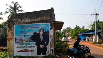 রঙ্গোলি, বাজি, মিস্টিমুখ, পূজা - কীভাবে কমলা হ্যারিসের জয়ে মেতে উঠল তাঁর মামাবাড়ি, দেখুন