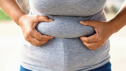 വണ്ണം കുറയ്ക്കണോ? ഡയറ്റ് ചെയ്യുന്നവര്‍ക്ക് കഴിക്കാവുന്ന നാല് തരം സ്‌നാക്‌സ്...