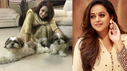 മികച്ച തെറാപ്പിസ്റ്റിനെ പരിചയപ്പെടുത്തി ഭാവന; ചിത്രം ഏറ്റെടുത്ത് ആരാധകർ