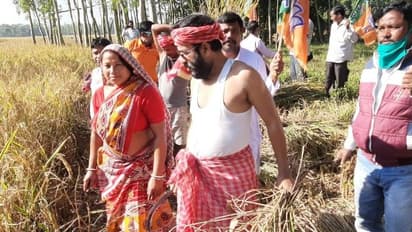 করোনাকালে জনসংযোগের নয়া কৌশল, মাঠে নেমে ধান কাটলেন বিজেপির জেলা সভাপতি