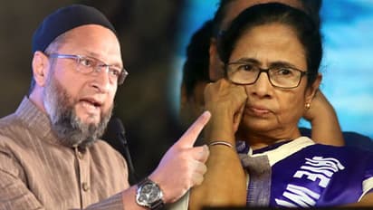 এআইমিম-এর সঙ্গে কি জোট গড়বে তৃণমূল, বাংলার রাজনীতিতে বোমা ফাটালেন ওয়াইসি