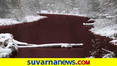 ಇದಕ್ಕಿದ್ದಂತೆ ಕೆಂಪಾಯ್ತು ಪೂರ್ತಿ ನದಿ..!ಇಲ್ಲಿ ನೋಡಿ ವಿಡಿಯೋ