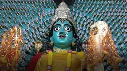 শতাব্দী প্রাচীন হাওড়ার হাজার হাত কালীর পুজো, শিবপুরের এই কালী মন্দিরে পশু বলি প্রথা নেই