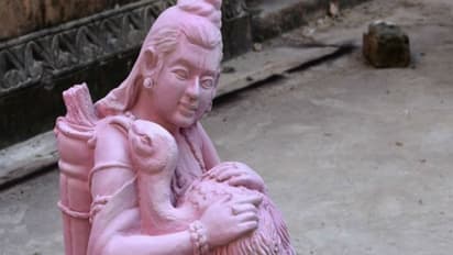 Australia's National Gallery to return 14 'stolen' artworks to India