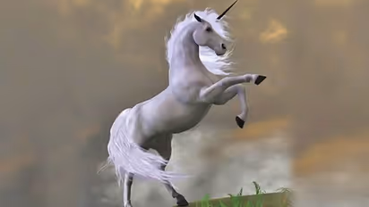 ಕೊರೋನಾ ನಿಗ್ರಹಕ್ಕೆ ರಾತ್ರಿ  ಮಠದ ಕುದುರೆ ಬಿಟ್ಟ ಜನ!