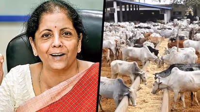 Centre sets aside Rs 900 crore for maintenance of registered goshalas
