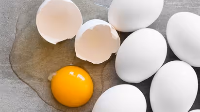 Easy to try delicious egg white dishes