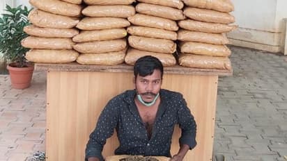 Bengaluru cops pretend to be drug dealers, seize 110 kg marijuana from a truck driver