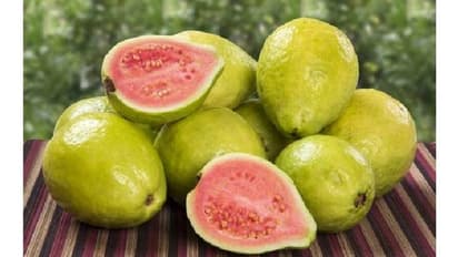 From weight loss to healthy heart: Amazing benefits of consuming guavas