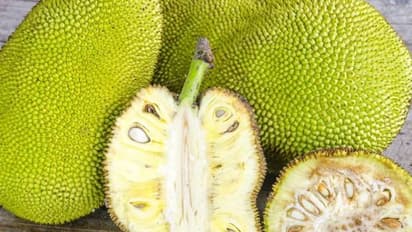 കേരളത്തിൽ നിന്ന് ചക്ക മുതൽ ജാതിക്ക വരെ ഓസ്ട്രേലിയയിലേക്ക്, ആദ്യ കയറ്റുമതി എപിഇഡിഎ ഫ്ലാഗ് ഓഫ് ചെയ്തു