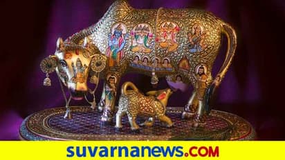 ಗೋವಿನಲ್ಲೇಕೆ ಮೂವತ್ತಮೂರು ಕೋಟಿ ದೇವತೆಗಳು?